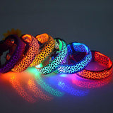 Safety Pet Collar With LED And Printed Design By Project Pet Lovers Club