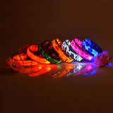 Safety Glowing Pet Collar With LED By Project Pet Lovers Club